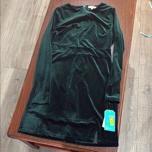 Green Velvet Long Sleeve Dress